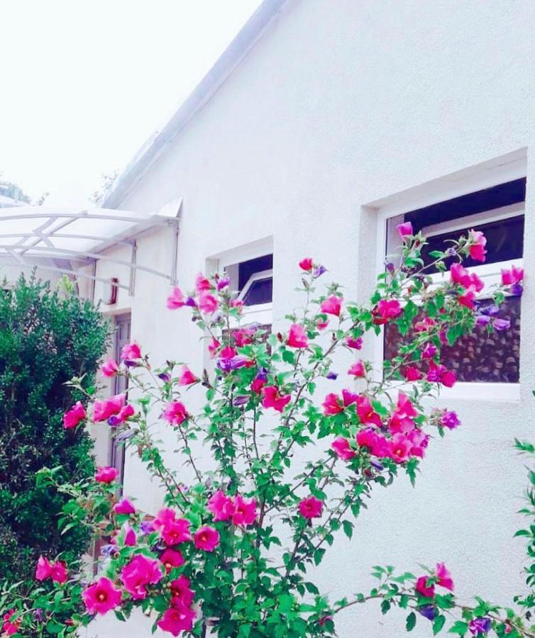 Green Garden B&B Dilijan Bagian luar foto