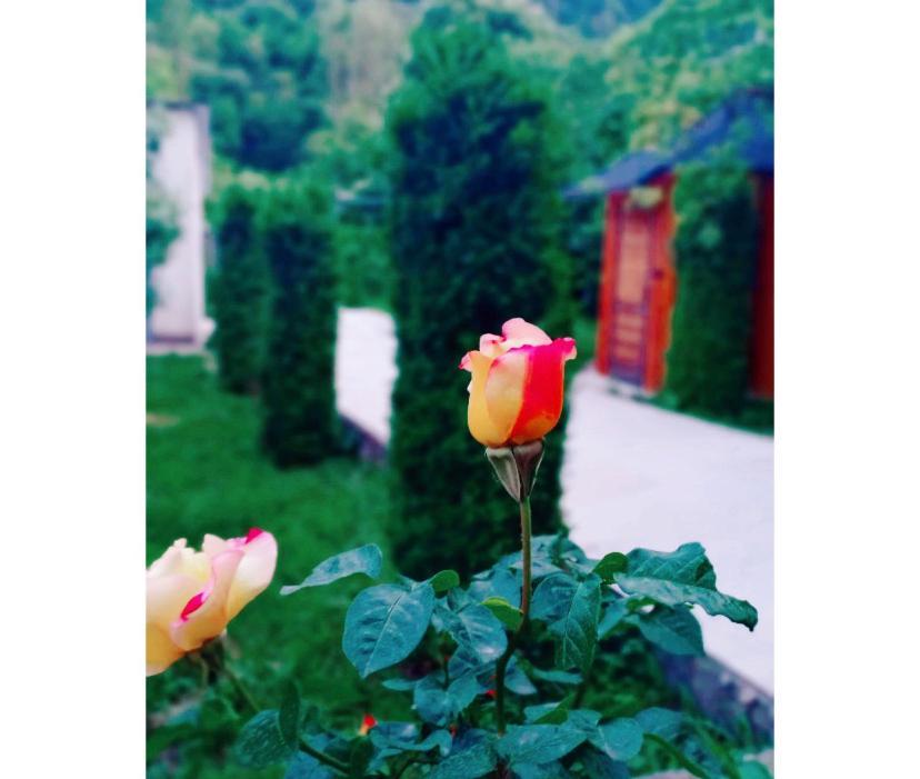 Green Garden B&B Dilijan Bagian luar foto